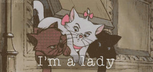 walt disney,disney,cat,cute,marie,aristocats,im a lady,gotham 1x17,otx,cartoons comics