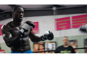 deontay wilder,world,boxing,council