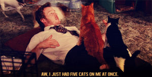 parks and recreation,cats,andy dwyer