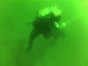attack,underwater,while,diver