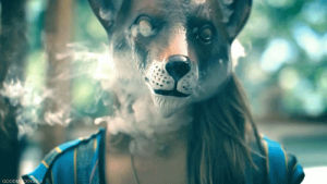 smoke,fox,weed,smoking,mask,sunk,sujataday