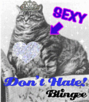 dont hate,cat,lovey,random,blingee,fat cat