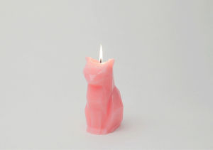 cat,design,candles,kisa,pyropet