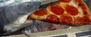 jaws,pizza,nom,best thing ever