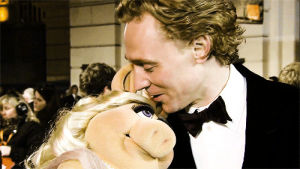 tom hiddleston,miss piggy,funny shit