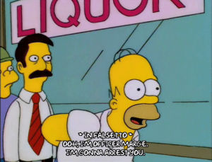 homer simpson,season 6,episode 24,sing,6x24,youre under arrest,history of science,e class