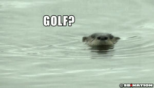 golf,otter