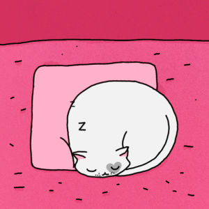 zzz,cat,illustration,humor,tired,sleeping,sleepy,saturday,caturday