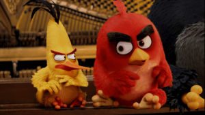 argue,angry birds,slap,argument,birds,music video,friends,fight,red,fighting,chuck,blake shelton,the angry birds movie
