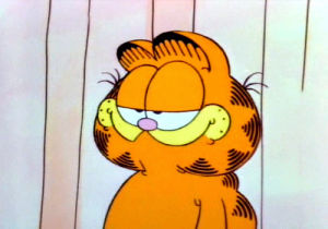 happy,garfield,stoned,maudit,garfield and friends,request,i like blinks