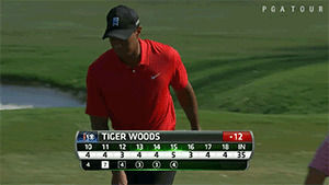 tiger woods,sports,golf,wyndham