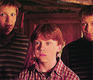 ron weasley,fred and george,surprise,the weasley family