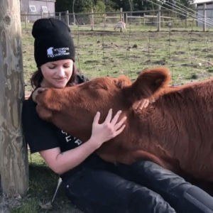 cow,love,cuddling,cute,aww,cuddles,eye bleach,cute cow
