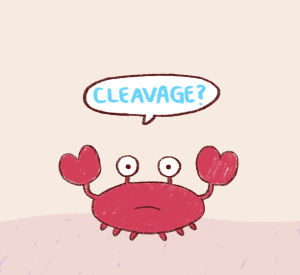 crab,bee and puppycat,lol,cartoon hangover,frederatorblog,cleavage