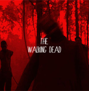 the walking dead,michonne,tv,zombie,amc,walker,katana