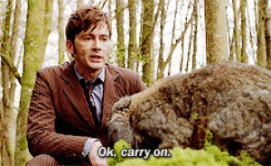 doctor who,david tennant,rabbit,what a fluffy creature