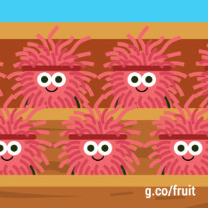 fruit games,lychee,google,angry birds movie,wave,google doodle