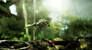 forest,crysis 3,animals,flying,frog