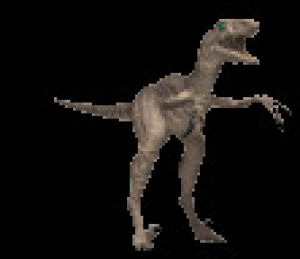 velociraptor,transparent