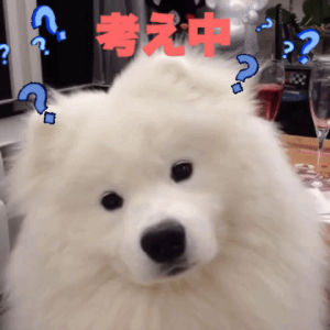 thinking,confused,japan,dog
