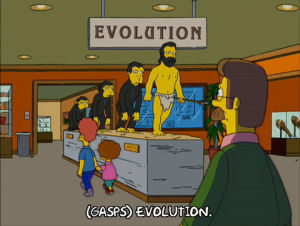 evolution,ned flanders,episode 21,scared,season 17,museum,curiosity,todd flanders,rod flanders,17x21