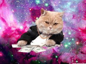 money,cat,year,real