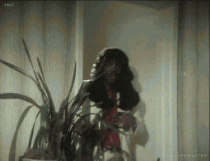 Noite sexo sexo GIF - Encontrar em GIFER