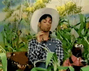 prince,the artist formerly known as prince,muppets
