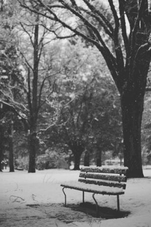 snow,black and white,snowfall,park,bench