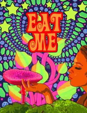 mushrooms,eat me,hallucinogens,psychedelic,trippy,drugs,colorful,shrooms,tripping,psychedelics