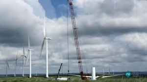wind,turbine