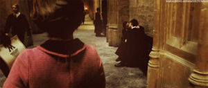 umbridge,love,kiss,meme,harry potter,hermione granger,ronald weasley