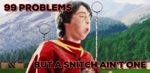 quidditch,harry potter,snitch,99 problems