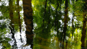 reflection,water,photography,cinemagraph,cinemagraphs,photographers on tumblr,living stills