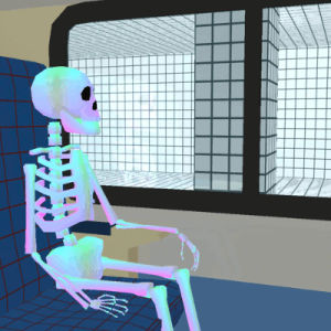 skeleton,train,window,grid