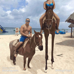 horse,riding,beach,horses,cari vander yacht,wingityeah,wingit,bookingcom,bookingyeah