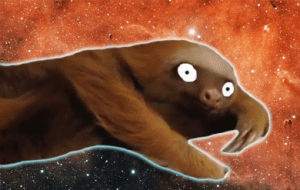 laser,animation,space,angry,wtf,sloth,sloth in space,fire ze laser