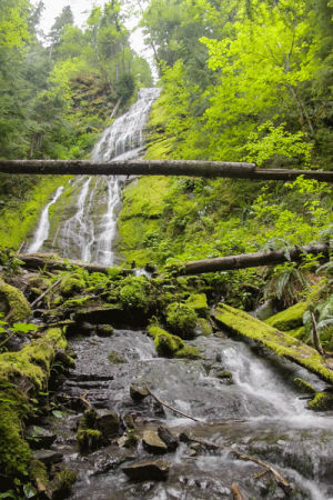 landscape,waterfall,nature,forest,washington,pacific northwest,covell creek