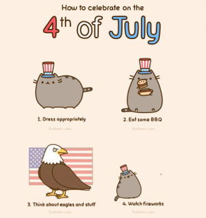 pusheen,america,cat,fourth of july