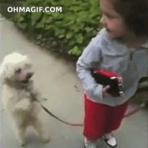 funny,cute,dog,girl,animals,walking,human,standing,following