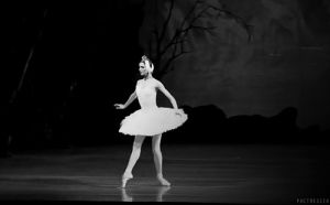 dance,black and white,ballet,dancer,ballerina,ballet dancer,svetlana zakharova