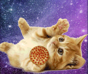 pizza,cat,lazers