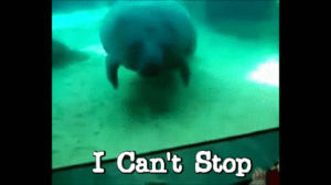 i cant stop,reaction,manatee,lunapic,made it for nathan