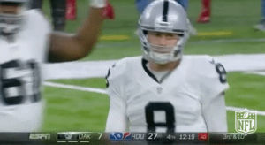 oakland raiders,football,nfl,raiders,cook,connor cook