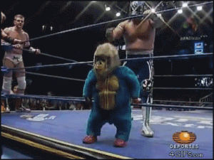 monkey,fighting,wrestling,costume,mask