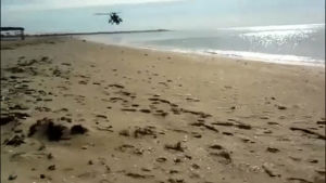 beaches,helicopters,crimea