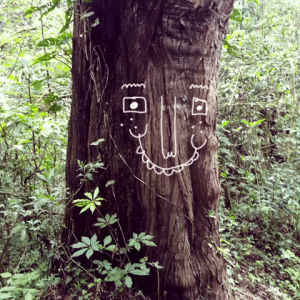 arbol,magic,happy friends,zapatoverde,three of life,hello there fella,this is what happens when you are on lsd on the forest,happy forest,old three,please dont take away the forest