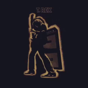 retro,t rex,night flight
