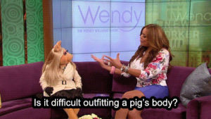 muppet,wendy williams,shade,muppets most wanted,tv,the muppets,miss piggy,the wendy williams show