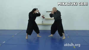 krav maga,fight,mma,ninja,martial arts,defense,instructional,kata,ninjutsu,taijutsu,budo,akban,traditional mma,self defense